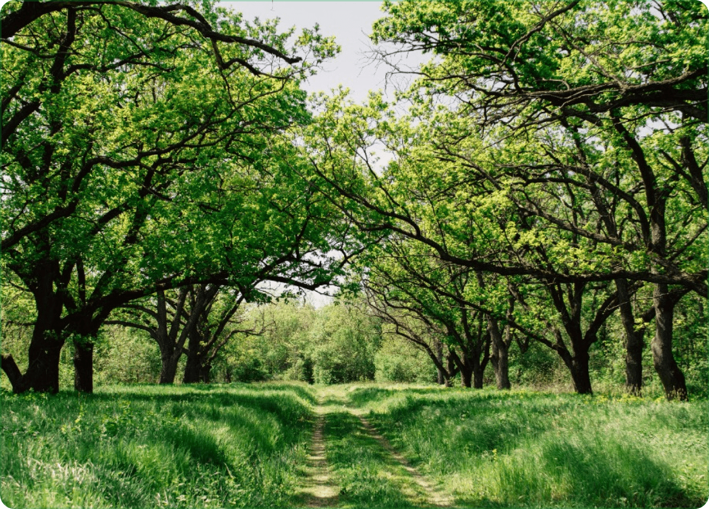 About Greenlands